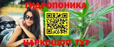 не бодяженный Жуковский