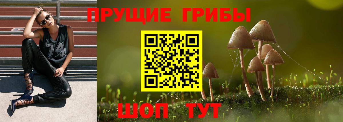 Псилоцибиновые грибы мухоморы  Вход с VPN  Кушва 